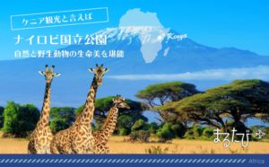 【オススメ第1弾】1番人気★ケニア・ナイロビ国立公園